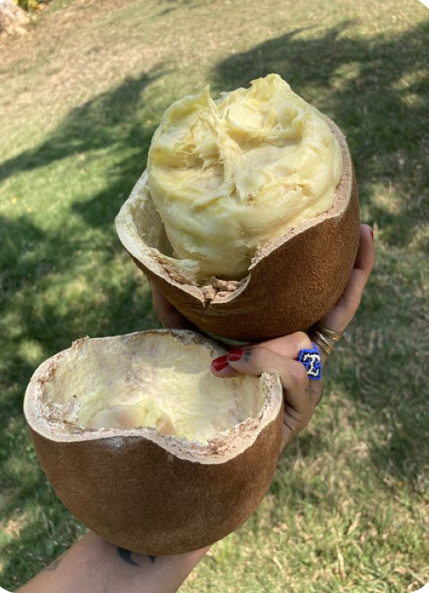 The Art of Handmade Beauty: Gachalaskincare's Exclusive Use of Capuacu in High-Natural Skincare Products